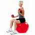 Thera-band gymbal ProSeries 55cm rood 292331  292331